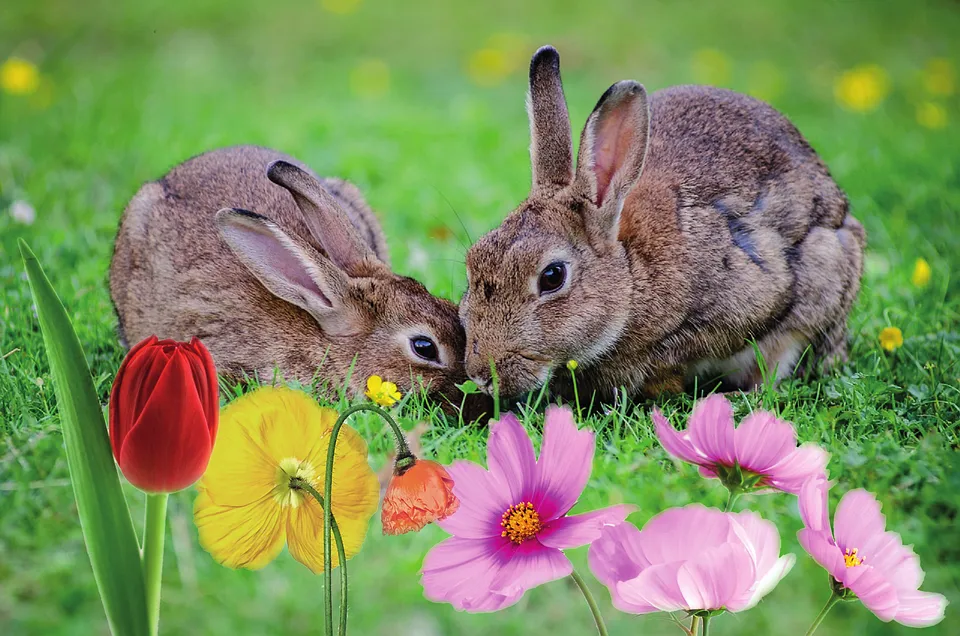 Happy Bunny – Easter in Oberhof