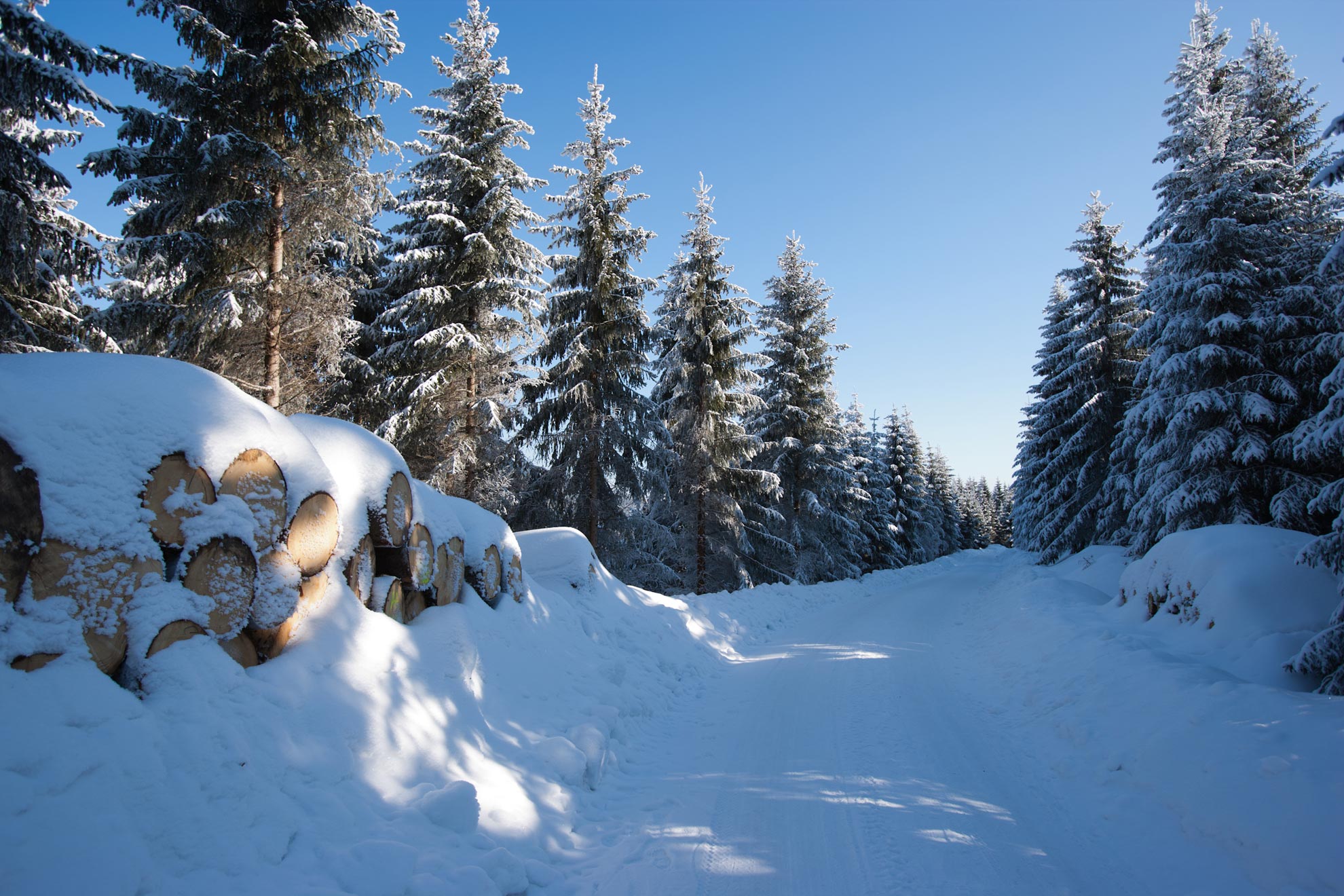 winter_oberhof