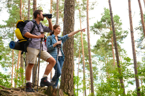 Wandern in Thüringer Wald