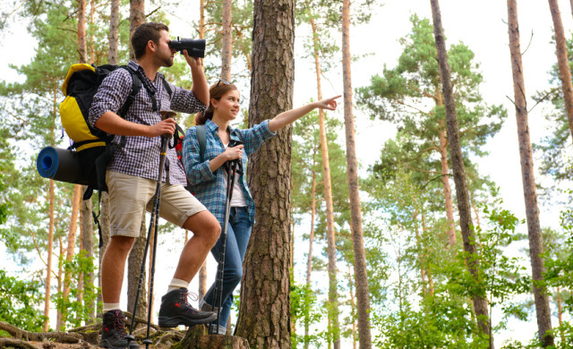 Wandern in Thüringer Wald